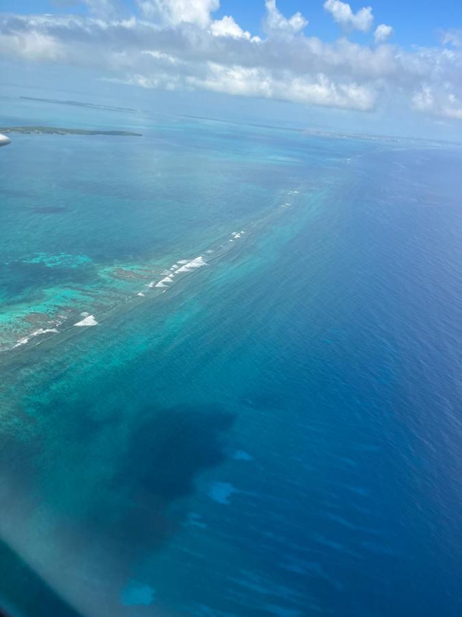 Dreamcabanas Hotell Caye Caulker Eksteriør bilde